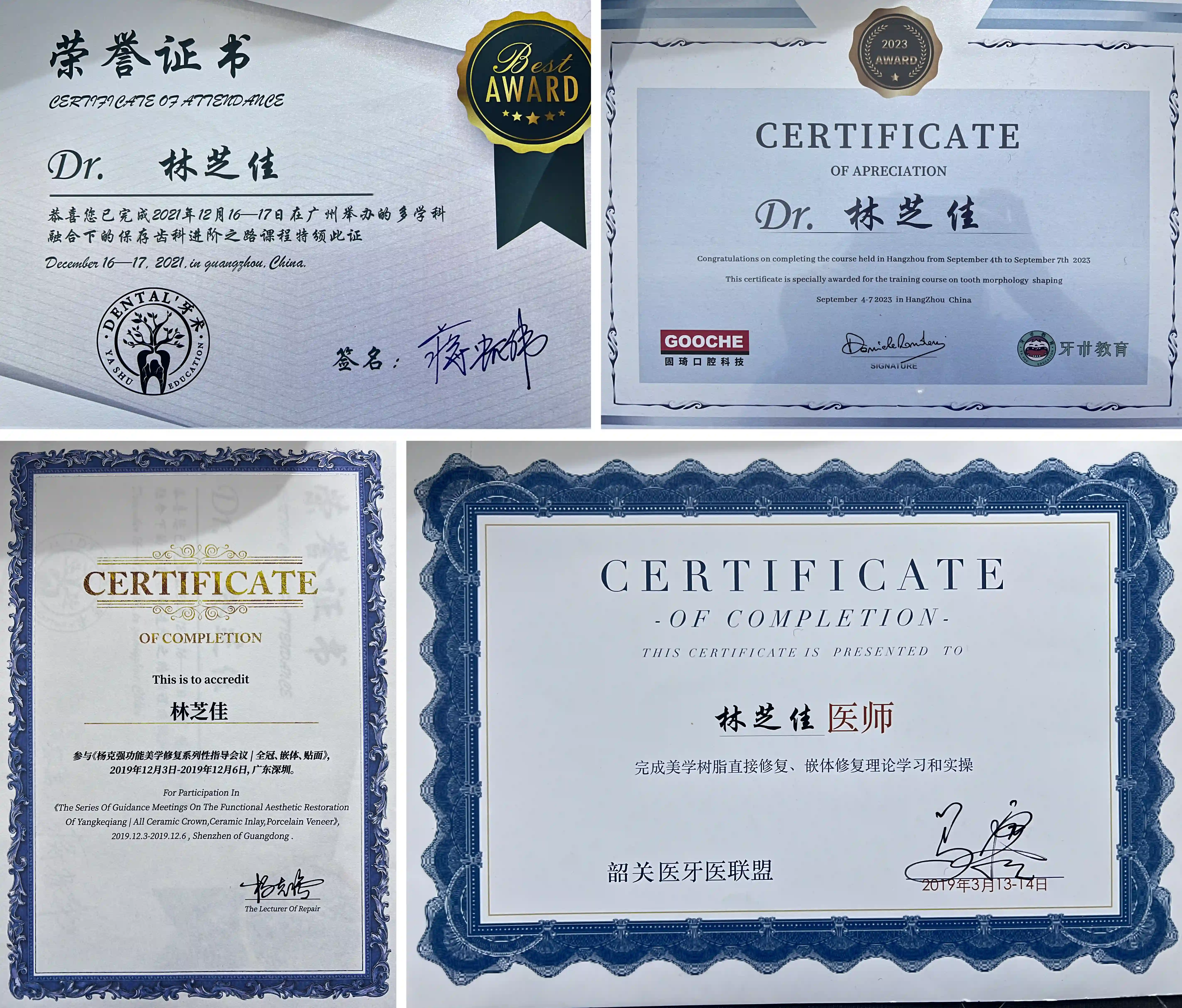 合集 合集